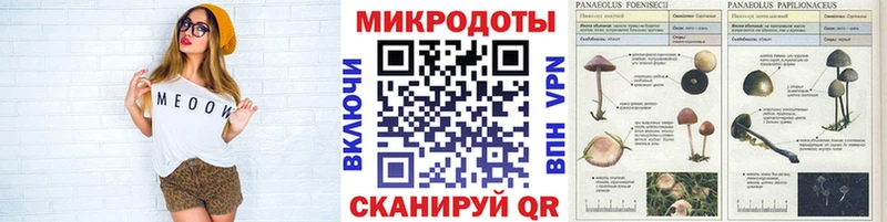 Галлюциногенные грибы мицелий  Сысерть 